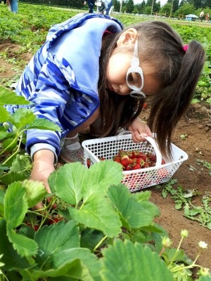Little rockers berry picking